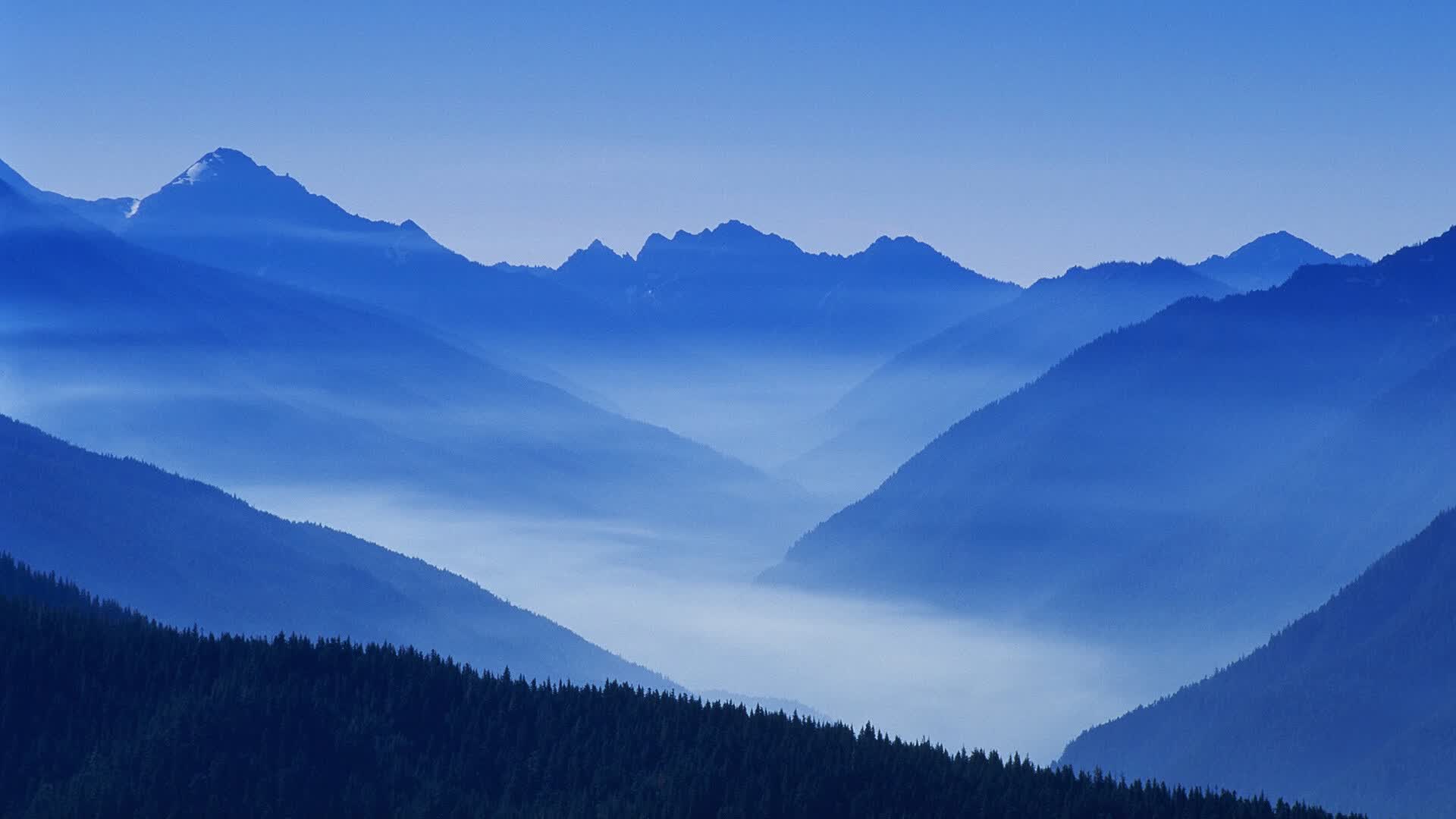 世界保龄球巡回赛城市站青少年赛事报名启动，世界保龄球大赛视频
