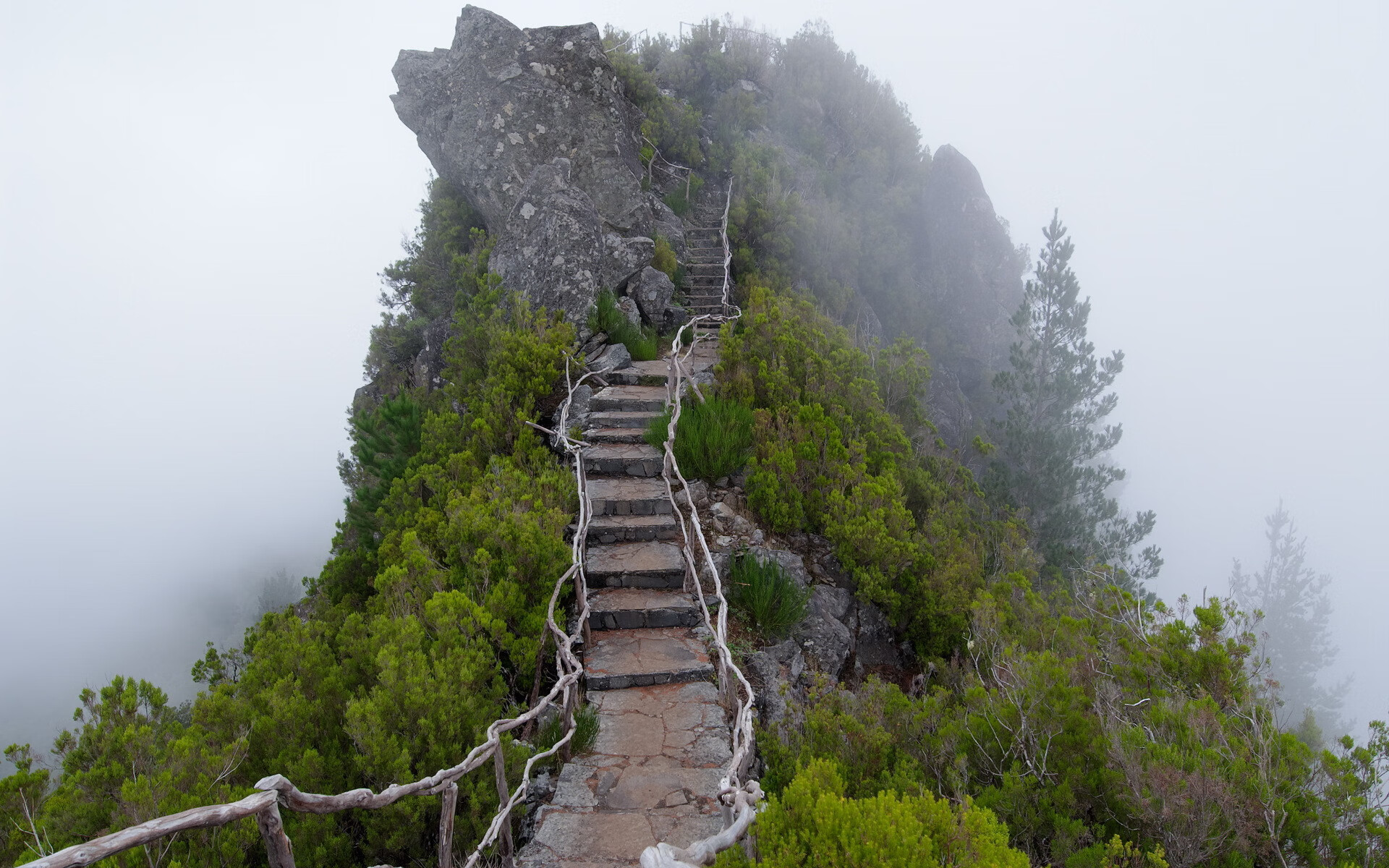 世界登山青年导师长期追踪研究第71期数据摘要发布，世界登山运动员排名